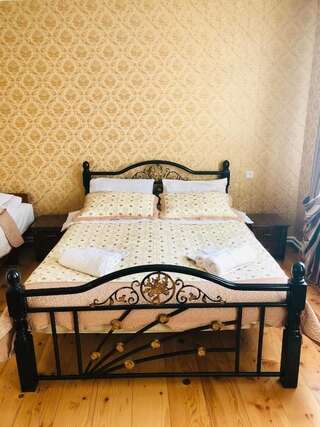 Гостевой дом Guest House Elguja Qushashvili Степанцминда Двухместный номер Делюкс с 1 кроватью и дополнительной кроватью-23